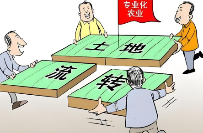 苏州律师王敏霞解读：技术赋能调解，破