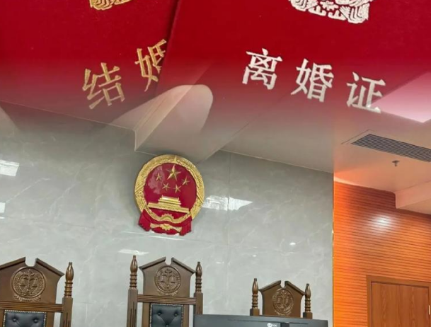 苏州离婚诉讼全场景解析：登记/诉讼流程、判离关键及涉外判决效力—苏州离